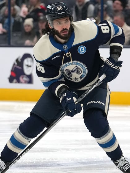 尝败绩的荣 尝败绩的荣